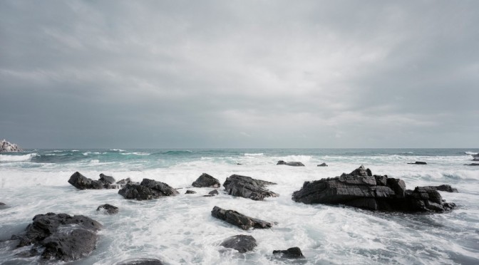 THOMAS STRUTH - NEW PICTURES FROM PARADISE