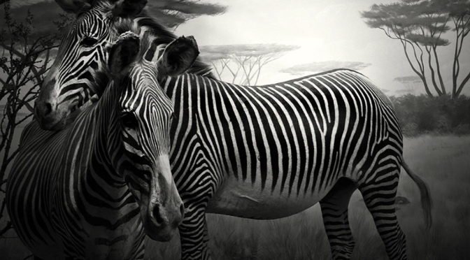 HIROSHI SUGIMOTO - UNNATURAL HABITAT